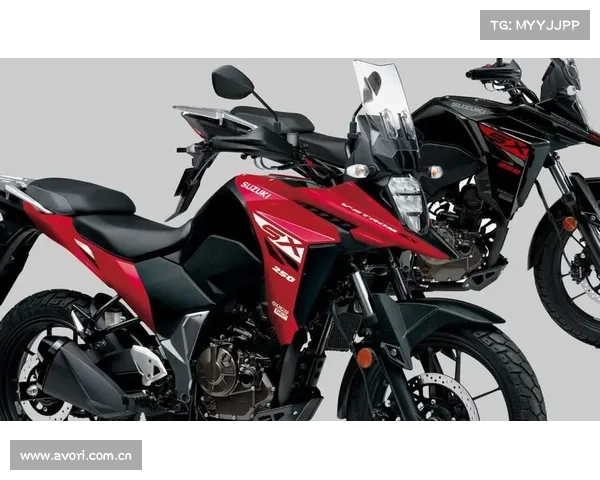 Suzuki V-Strom 250SX 2025年款日本亮相 Suzuki V-Strom 250SX 2025年款日本亮相