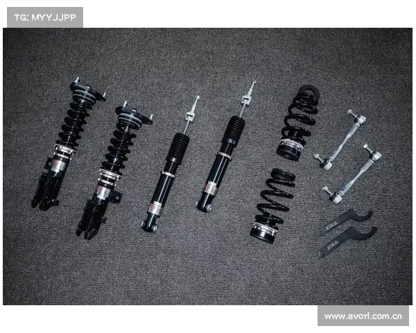 一低遮百丑!真的是这样吗?为何改装绞牙减震器 一低遮百丑!真的是这样吗?为何改装绞牙减震器